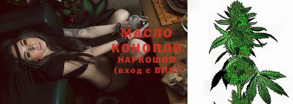 шишки Лабытнанги
