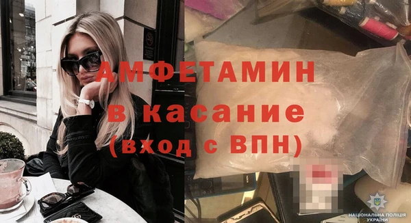 шишки Лабытнанги