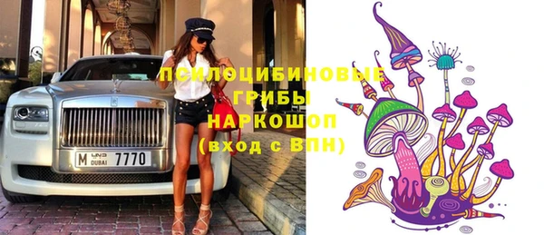 шишки Лабытнанги