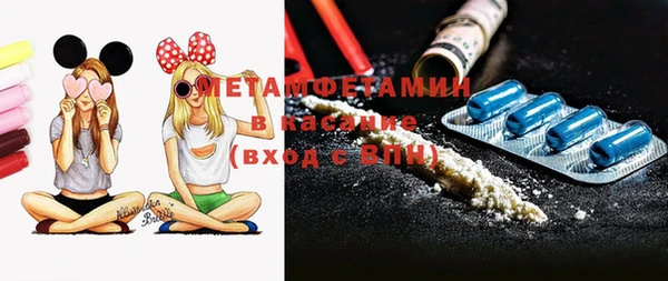шишки Лабытнанги