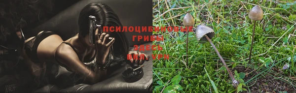 прущая мука Лихославль