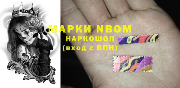 шишки Лабытнанги