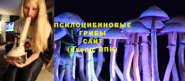 гидропоника Ладушкин