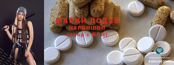 ГАЛЛЮЦИНОГЕННЫЕ ГРИБЫ Болотное