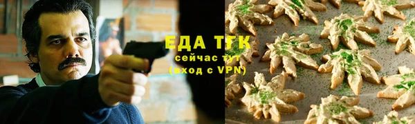 шишки Лабытнанги